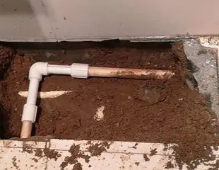 桐梓测漏水哪家好