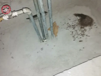 桐梓卫生间测漏水价格明细