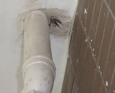 桐梓漏水检测哪家好